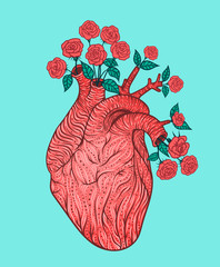 Wall Mural - Human heart with flowers. Vector illustration. Tattoo style