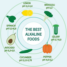 Best Alkaline Foods With Ph Balance Illustration.