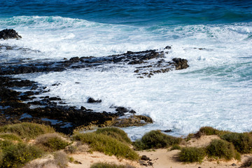 fuerteventura. canary islands