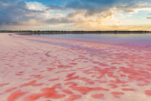 Loch Lel - Pink Lake At Sunset, Victoria, Australia