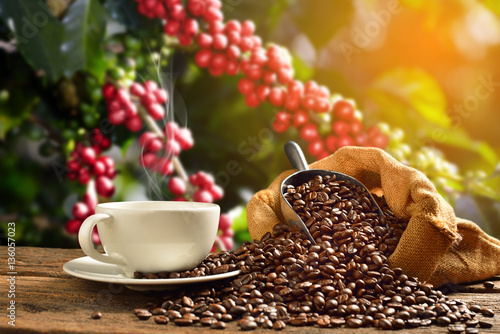 Cuadros en Lienzo Cup of coffee with smoke and coffee beans in burlap sack on coff