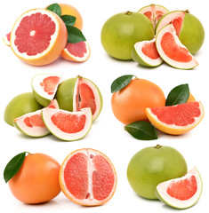 Wall Mural - Grapefruit