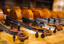 Violins Are Lined On Wooden Shelve In Musical Instruments Store