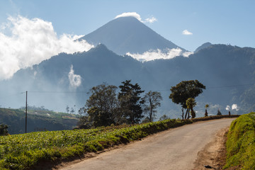 Wall Mural - Road through fields in central Guatemala