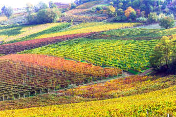  impressive vineyards in autumn colors in Tuscany - famous vine region of Italy