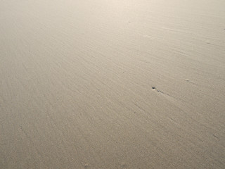 Poster - sand beach texture