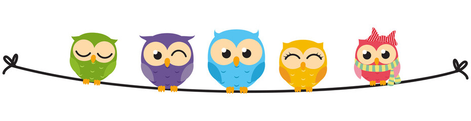 happy owl family sit on wire