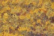 Wide abstract background in Gustav Klimt style 
