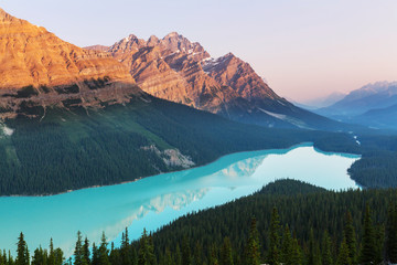 Poster - peyto lake