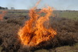 © MartinGomezAlzaga - fuego en la pradera