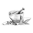 Mortar and Pestle vintage line drawing