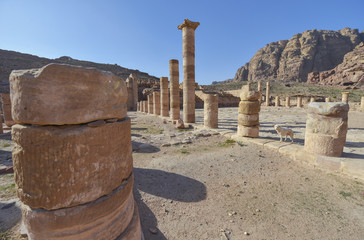 Wall Mural - Ciudad antigua de Petra, Jordania