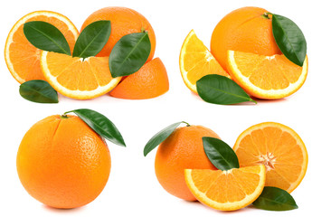 Wall Mural - Oranges on white background