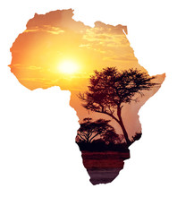 African Sunset With Acacia, Map Of Africa Concept