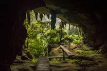 Niah National Park, Niah Cave In Sarawak Malaysia