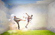 © Sergey Nivens - Soccer player kicking ball . Mixed media