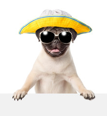Poster - Dog in sunglasses and hat peeking from behind empty board. isolated on white