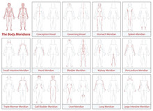 Body Meridians Chart - Female Body - Schematic Diagram With Main Acupuncture Meridians And Their Directions Of Flow.
