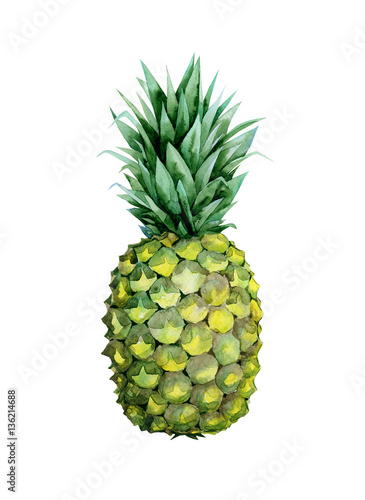 Ripe pineapple with green leaves. Watercolor illustration of sweet delicious ...