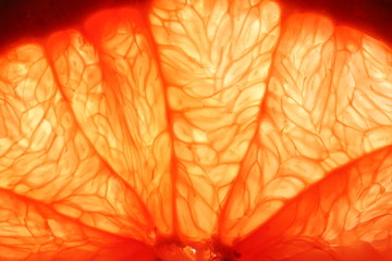 Grapefruit macro