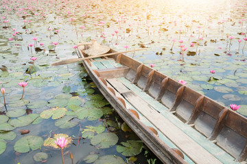 Beautiful red lotus fields with gondola.