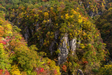 Wall Mural - Autumn Naruko canyon