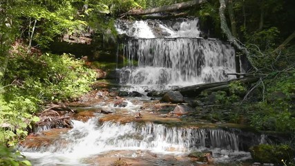 Wall Mural - Wagner Falls, a waterfall in the Upper Peninsula of Michigan, plunges over a small rocky cliff on an afternoon with dappled sunlight in the woods.