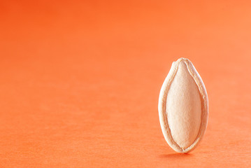 Canvas Print - pumpkin seeds closeup