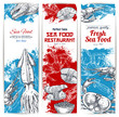 Vector banners set of fresh seafood and fish food