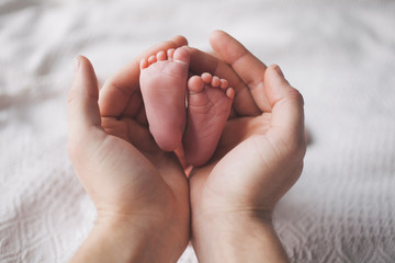 Wall Mural - Parent holding in the hands feet of newborn baby.