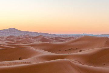  sand desert
