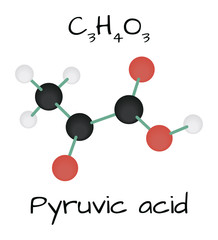 Canvas Print - molecule Pyruvic acid C3H4O3