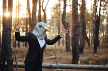 Weird Businessman In A Rubber Bird Mask Pretending To Fly In The Sunset Forest