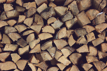 Wall Mural - ends of logs,  wooden background.