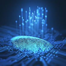 Fingerprint Integrated In A Printed Circuit, Releasing Binary Codes.