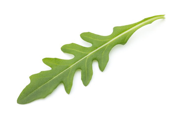 Wall Mural - Close up studio shot of green fresh rucola isolated on white bac