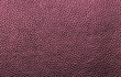 © stivog - Empty magenta leather abstract texture for pattern and background.