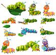 Different color caterpillar characters