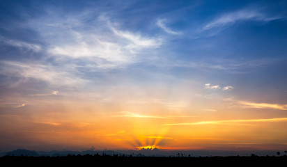 Wall Mural - Sunset sky with silhouette of palm tree