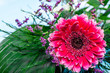 Valentines day card with flower of gerbera daisy