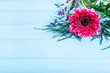 Gerber flower, frame card for mothers day, women's day, wedding invitation