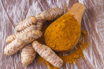 curcuma en root and octopus (curcuma longa)