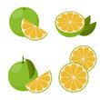 Icon Grapefruit white.  Vector illustration.