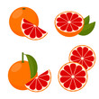 Icon Grapefruit. Vector illustration.