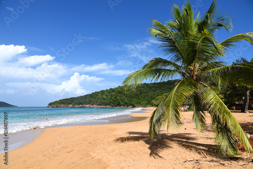 Plage De La Perle En Guadeloupe Buy This Stock Photo And