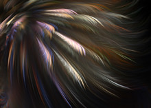 Fractal Pinnate Winged Topknot Background - Fractal Art