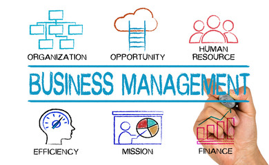 Wall Mural - business management concept chart