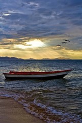 Wall Mural - boat