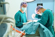 © nimon_t - two veterinarian surgeons in operating room