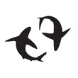 Shark vector silhouettes icon.